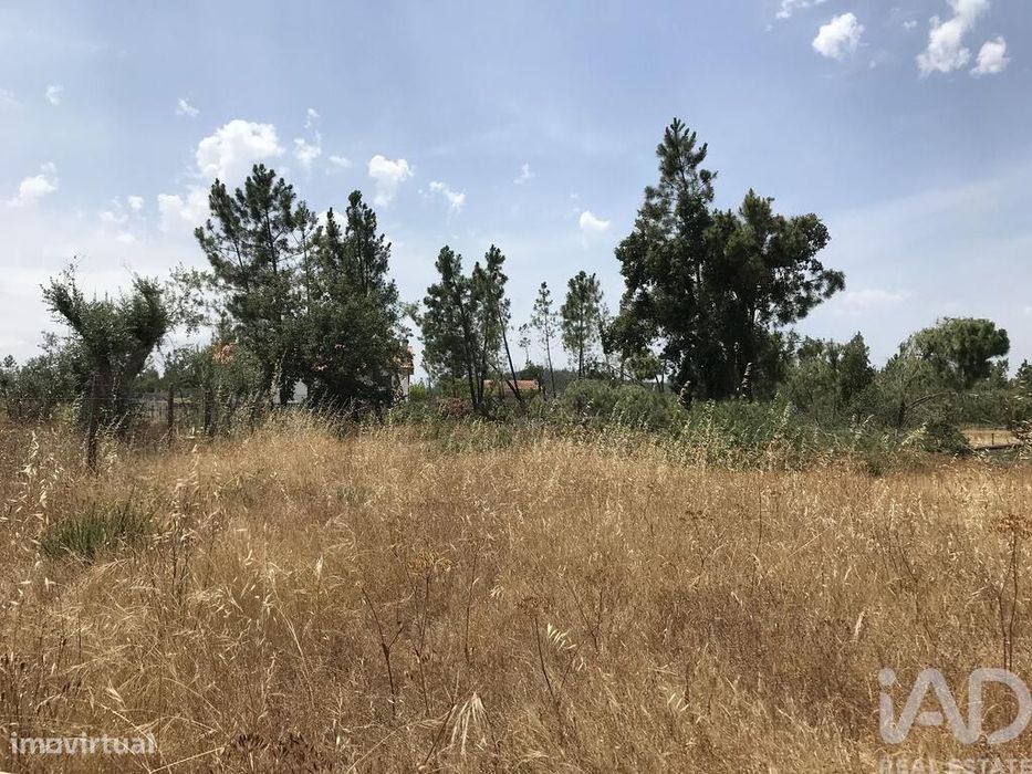 Terreno para construção em Freixianda, Ribeira do Fárrio e Formigais
