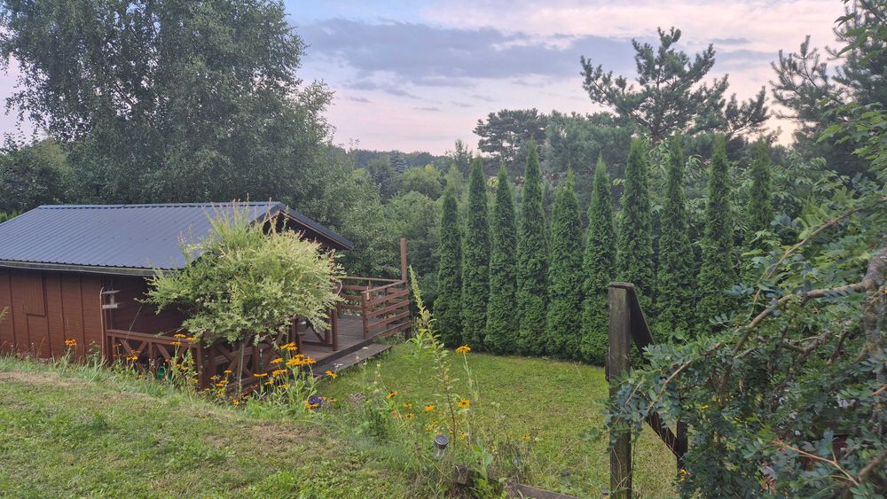 Wyjątkowa działka ROD Morenka – 400 m² | 3 tarasy | piękny widok | prywatność - Widok 5