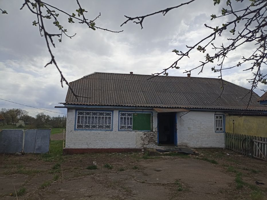 Продам будинок смт Чоповичі Коростенський район