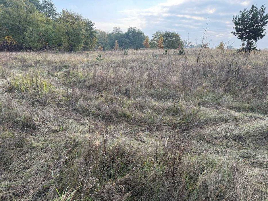 Продаж ділянки 27,5сот під забудову.Двохфасадна.Ліс.Світло поруч.ID:41