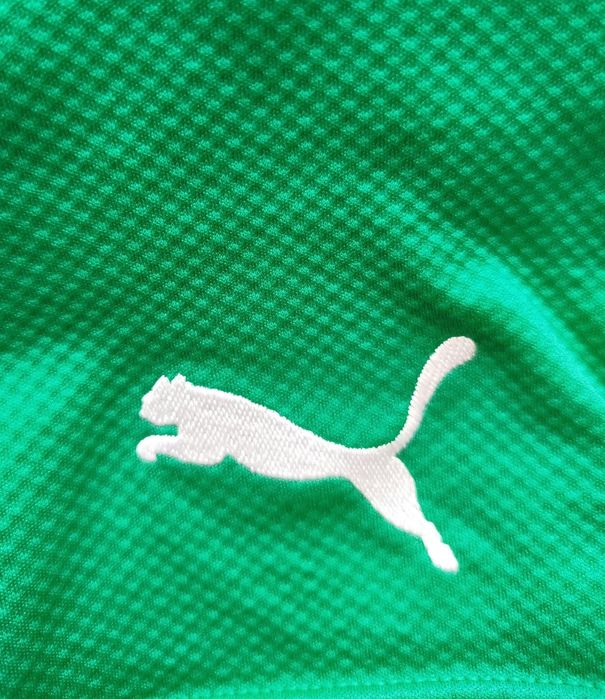 Calções Bermudas Puma Borussia