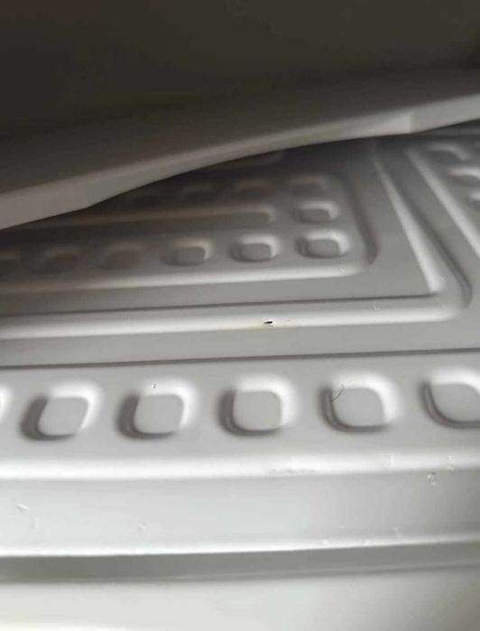 Dou mini frigorífico (Precisa de reparos)