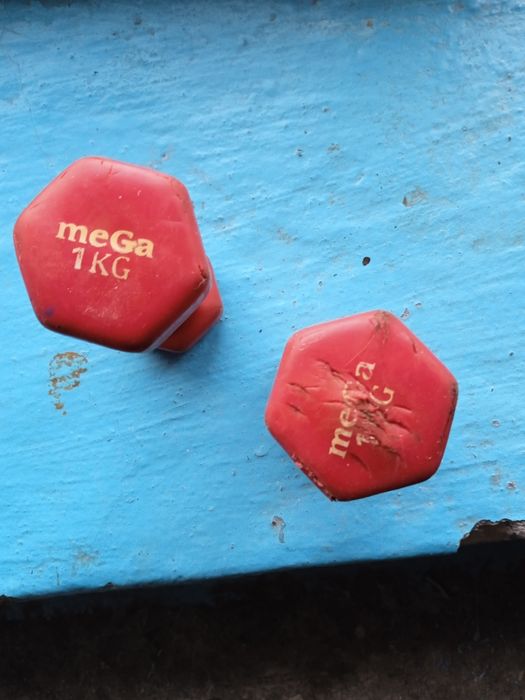 Турнік розсувний металевий еспандер та гантелі