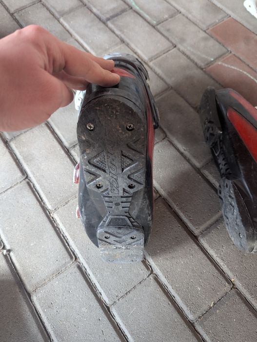 Buty narciarskie Nordica