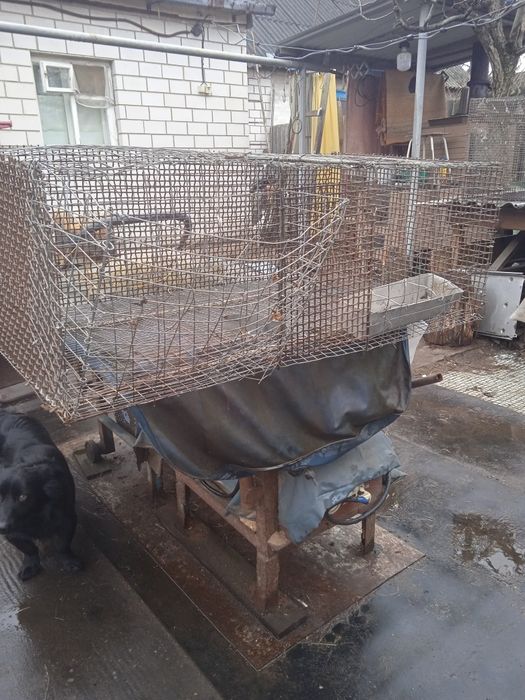 Клітки для кролів