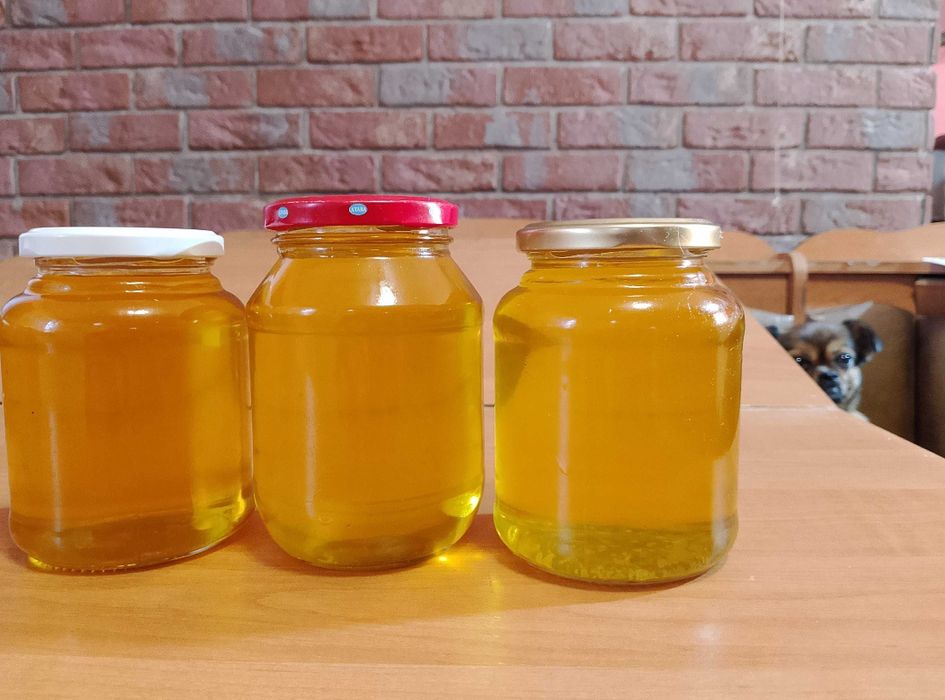 Свіжий гусячий жир.