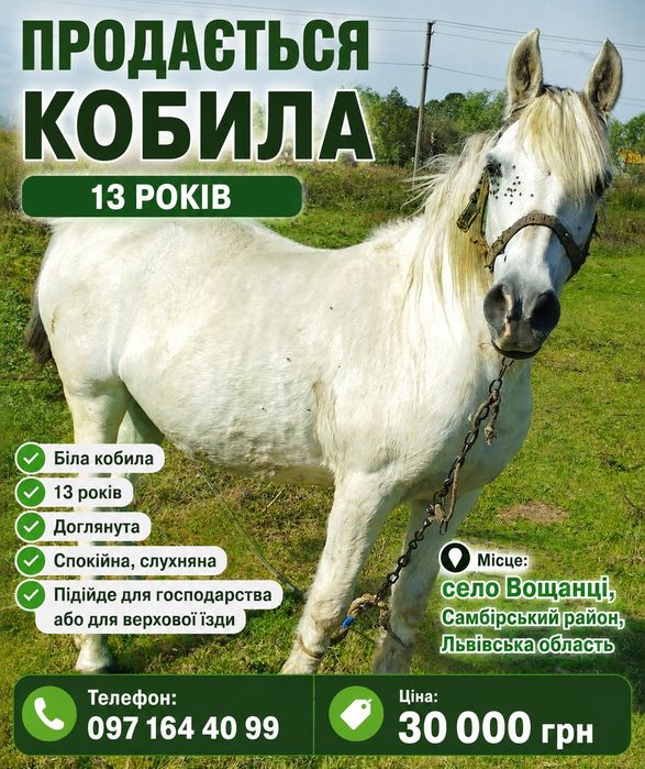 Продам кобилу 13 років