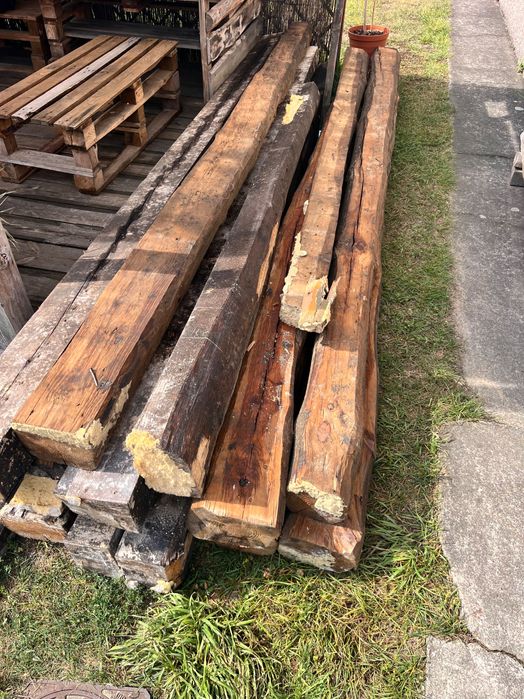 Stare legary sosnowe 1960 rok