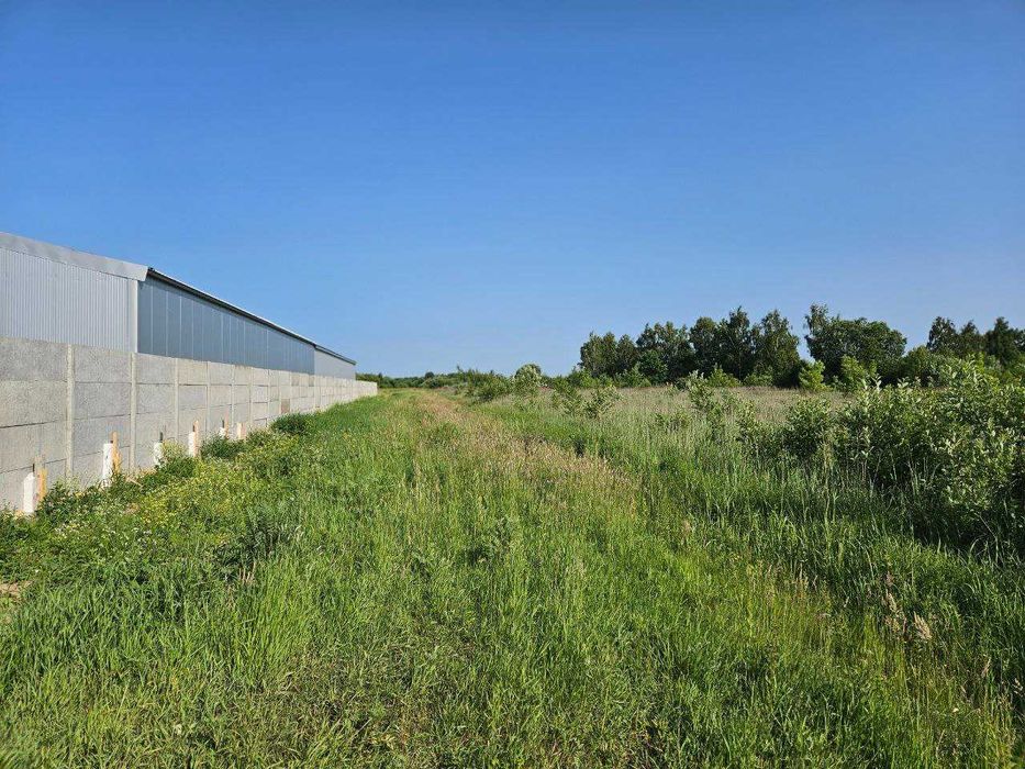 Продаж земельної ділянки 60 сотка у Крихівцях_VD