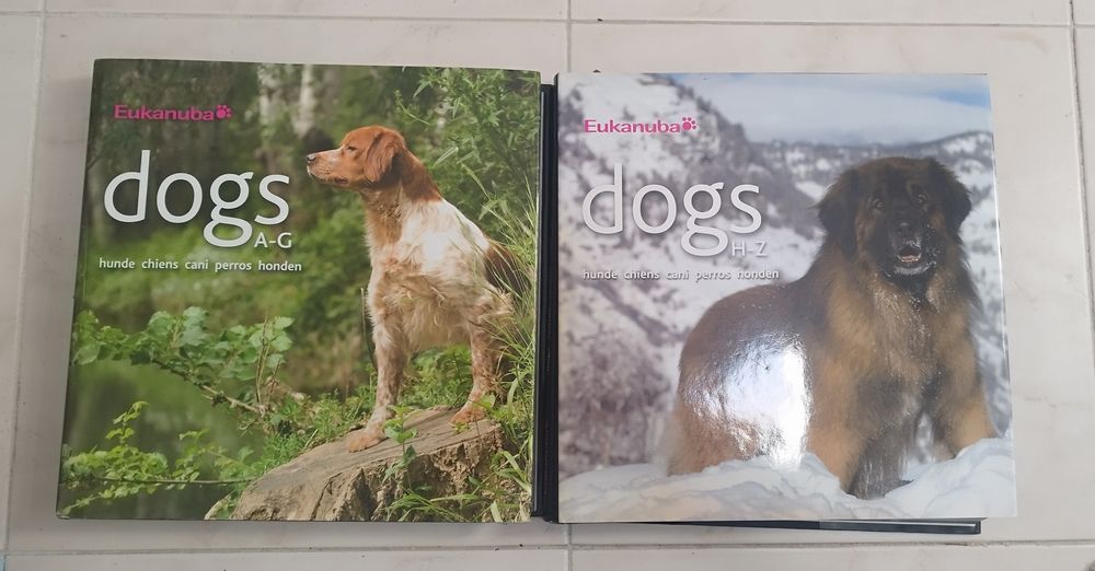 Raças de cães de A - Z