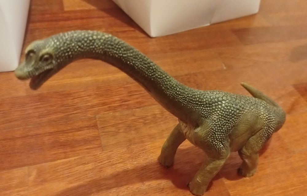 Dinossauros e animais de brinquedo