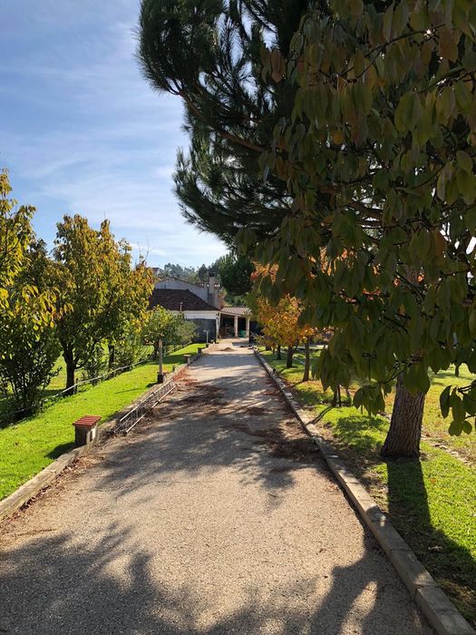Quarto a alugar em Pombal