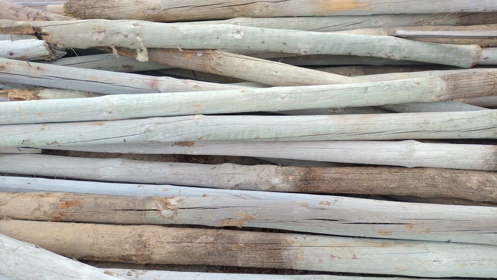 Postes tratados.               .