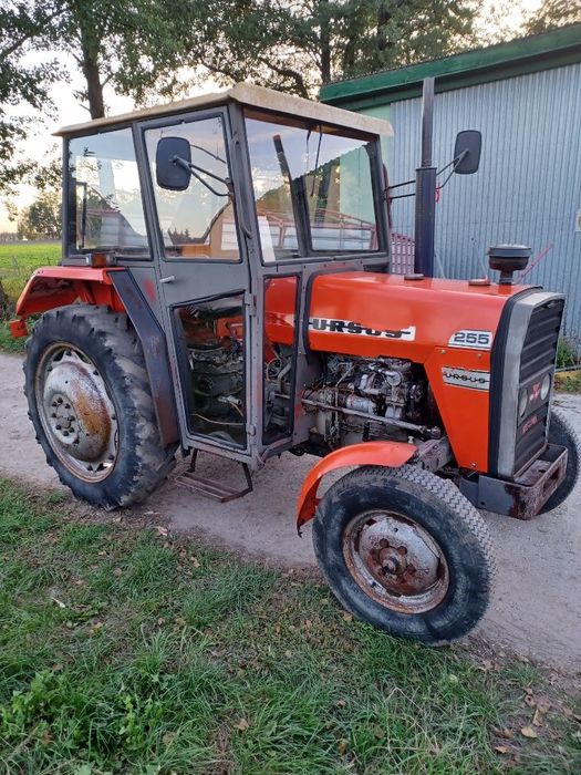 Ciągnik Ursus MF 255