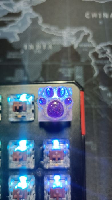 Keycap kitty kot koci z kotem