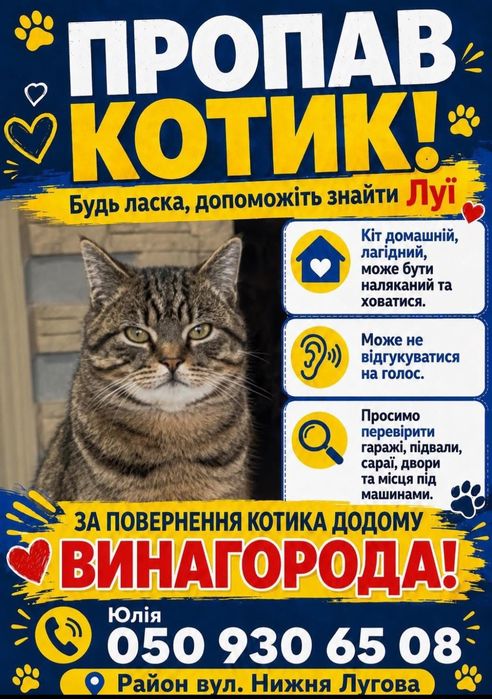 Загубився котик Луї