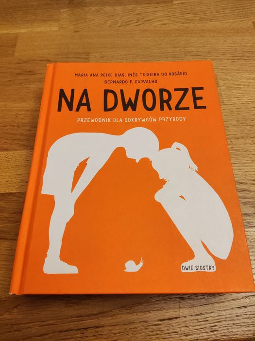 Na dworze Maria Ana Peuxe Dias Dwie siostry