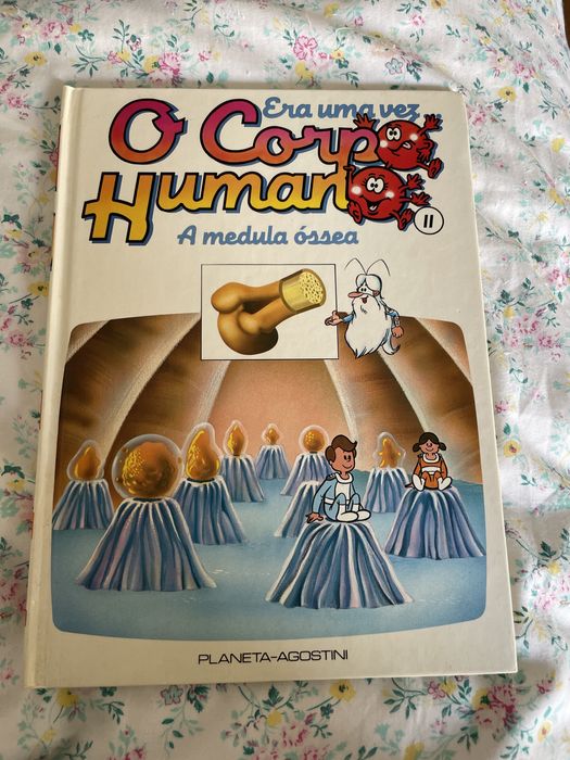 Era uma vez o corpo humano 2 - a medula óssea