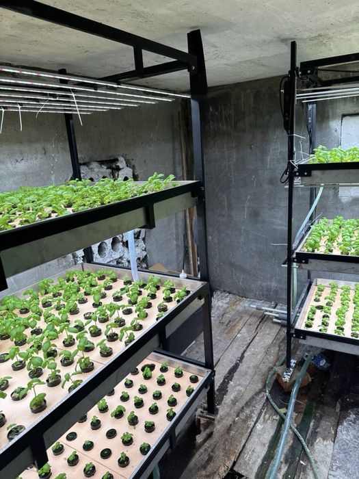 Продається бізнес міні-агроферма