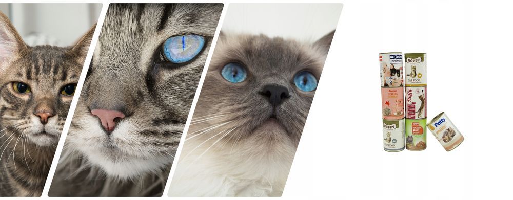 20 Szt. X 400G Karma Mokra Dla Kota Puszka Pakiet  Mix Smaków