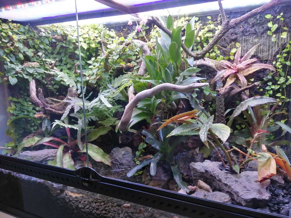 Terrário Exo Terra com móvel