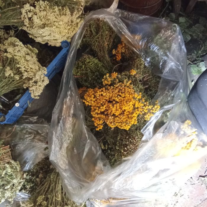 Лекарственные букеты трав