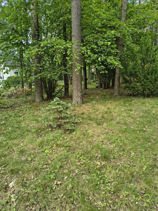 Działkę sprzedam - Widok 6