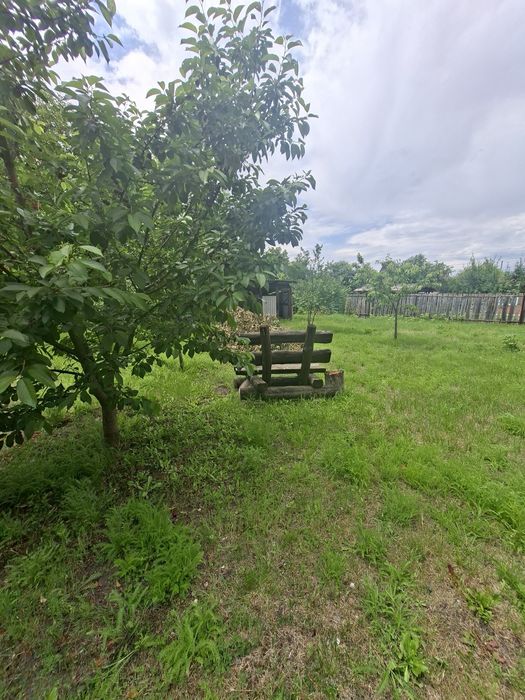 Продам дачу біля лісу