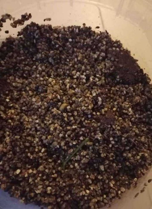 Areao 12kg aproximadamente