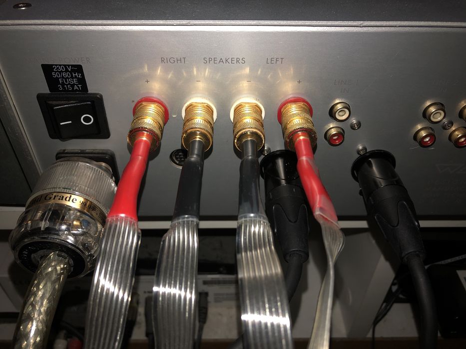 Wzmacniacz Bow Technologies Wazoo