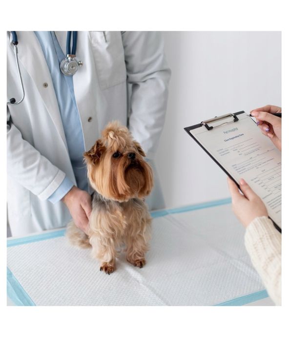 Пелюшкі для лотків собак, котів та інших тварин 60*40см=100 шт