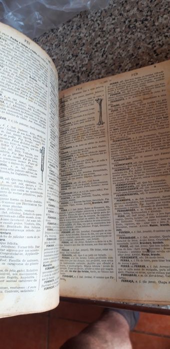 Dicionário Prático Ilustrado 1928