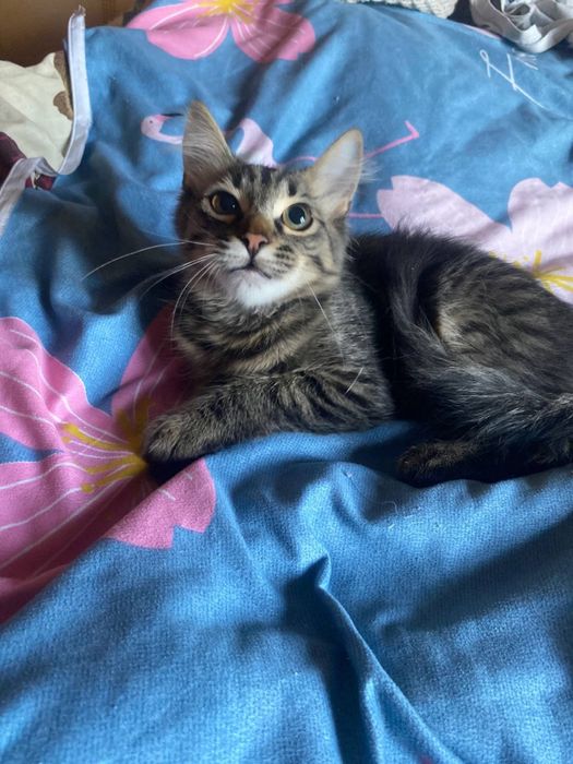 Лучший подарочек