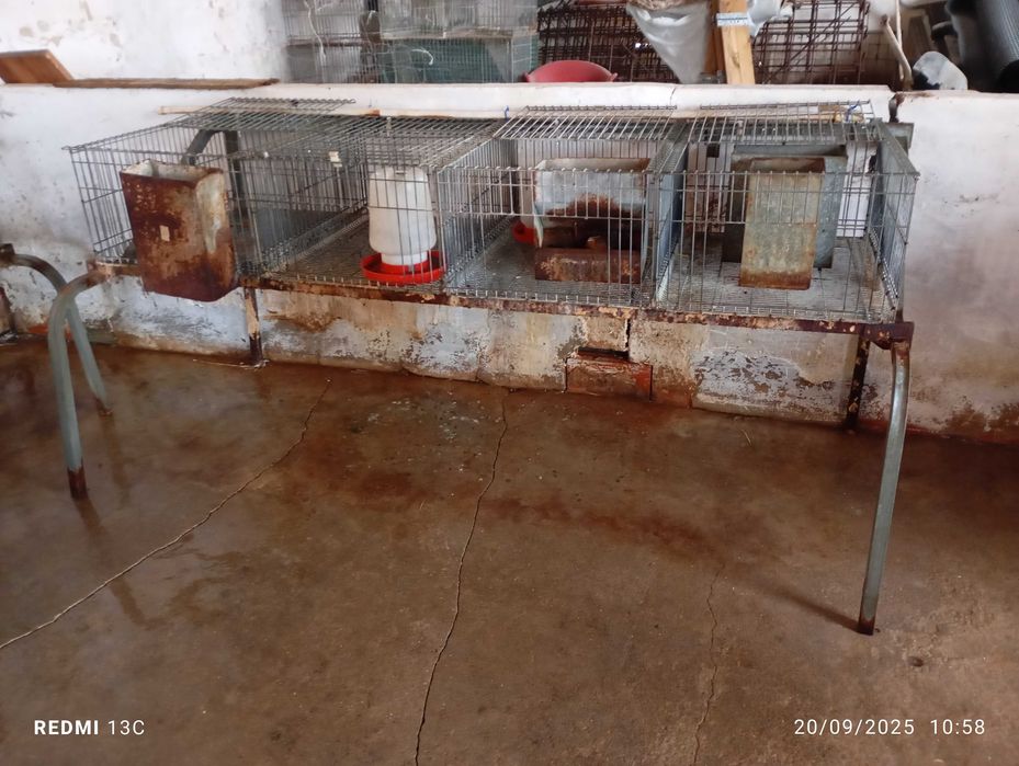 Jaulas /para coelhos