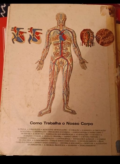 Como funciona o corpo humano436724553954764801