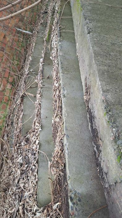 Продам регелі Оратів