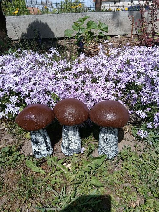 Grzyby z betonu nowe