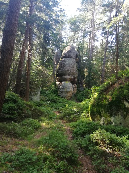Pokoje Radków zalew