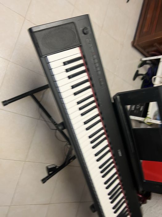 Yamaha Piaggero NP-32