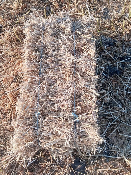 Солома соєва.соя.тюки.