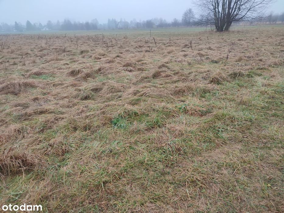 Okazja inwestycyjna - Działka przeznaczona pod zabudowę mieszkaniową - Widok 3