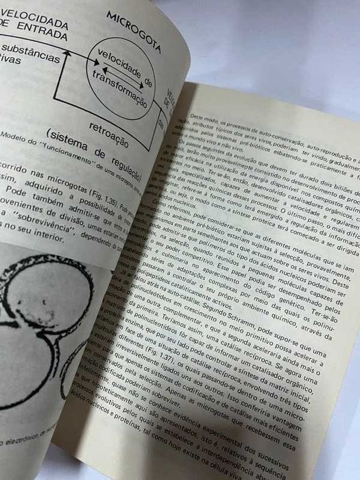 Livro antigo - Ciências Naturais ap biologia
