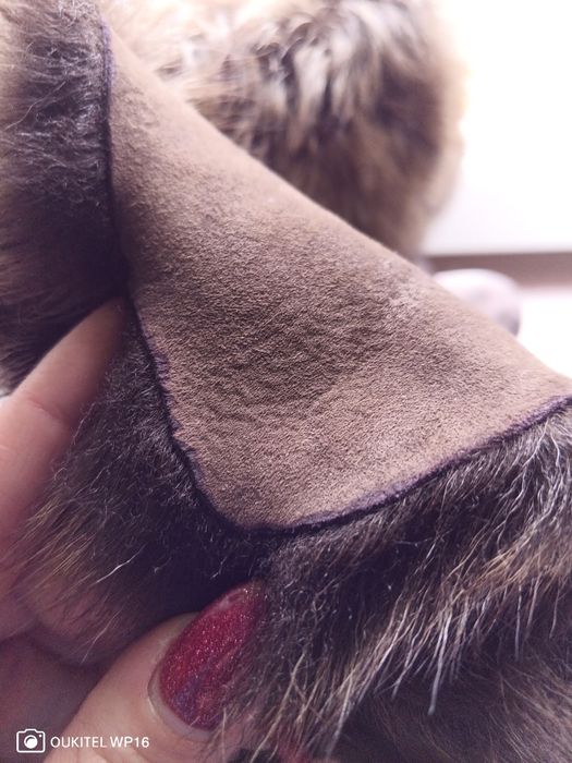 Продам натуральные зимние полусапожки