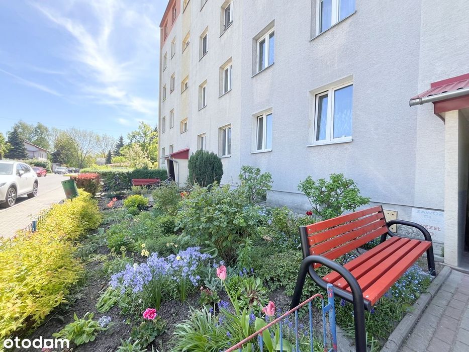 Tysiąclecia, 3 pokoje z ogródkiem, centrum miasta