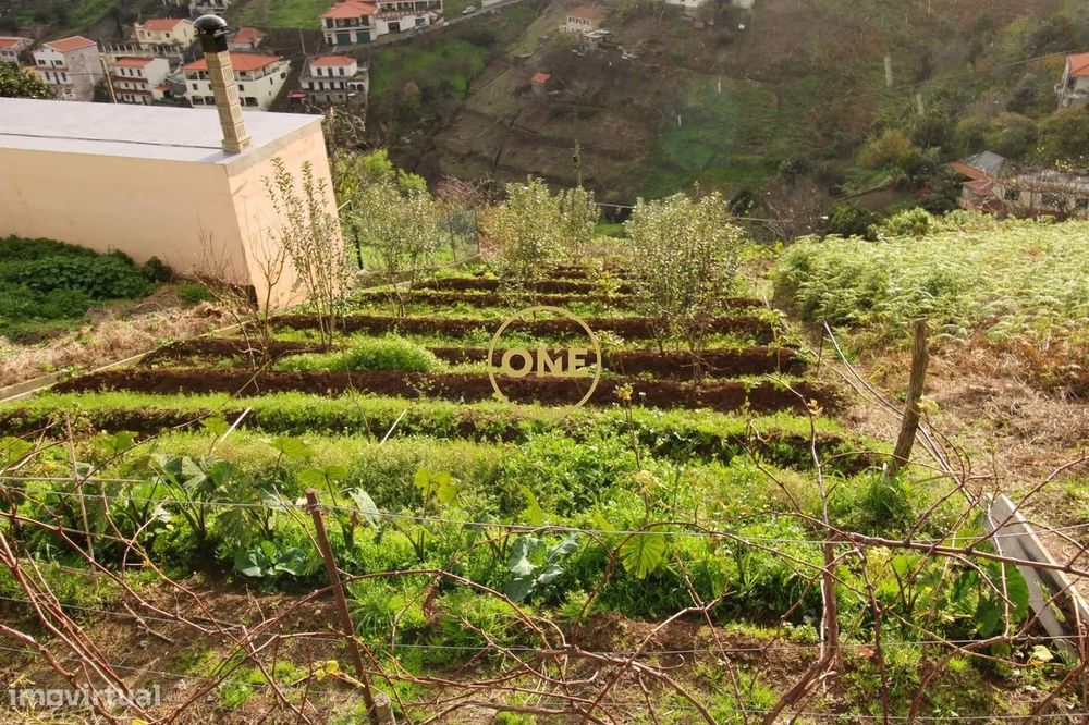 453 m² Plot of Land