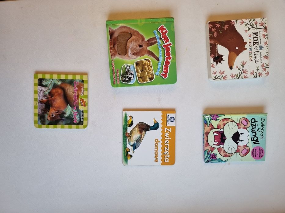 Zestaw książeczek dla dzieci zwierzęta domowe w lesie w dżungli