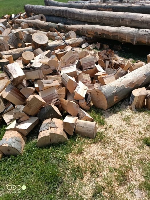 Drewno kominkowe, Buk