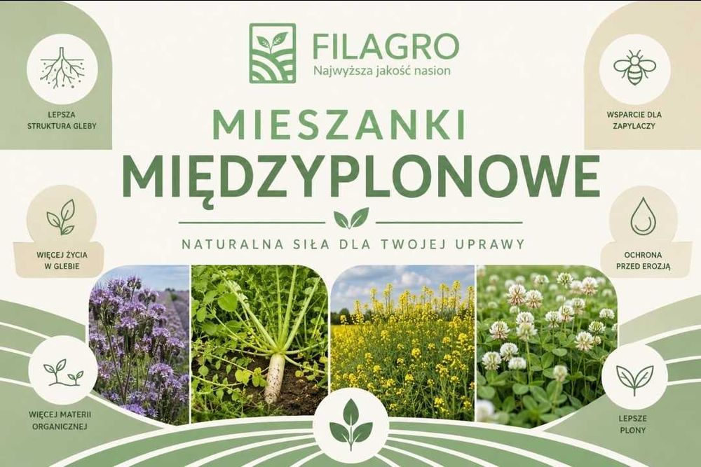 Kwalifikat C1. Mieszanka Traw Na Suche Gleby