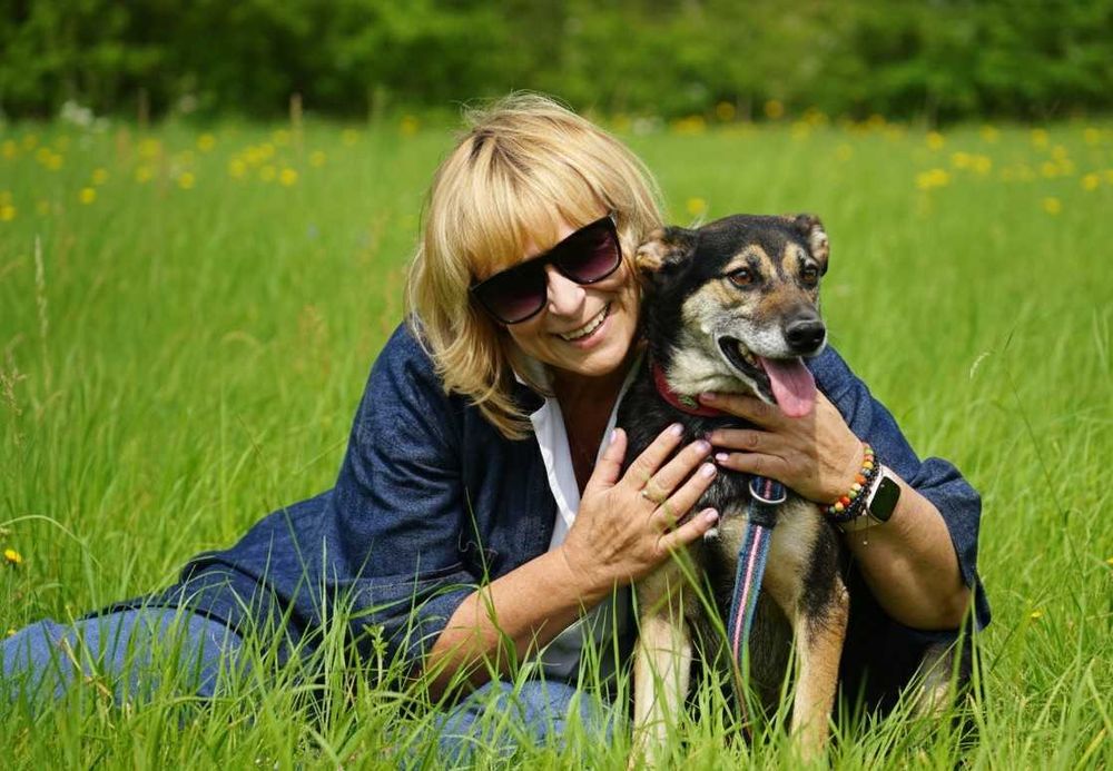 BURU - cudowny pies prosi o cudowny dom