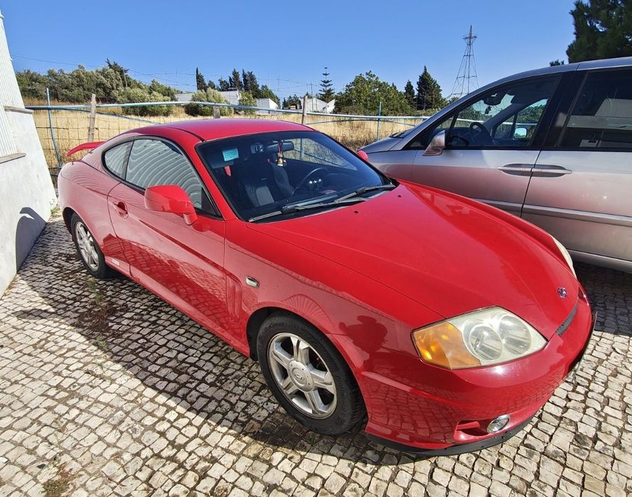 Oportunidade - Único